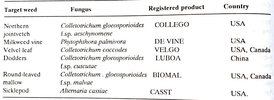 Some fungal Herbicides